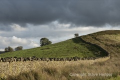 DSC8050-Dry-stone-wall-above-Tale-y-bont-reservoir